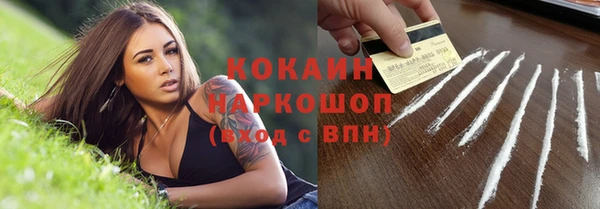 хмурый Арсеньев