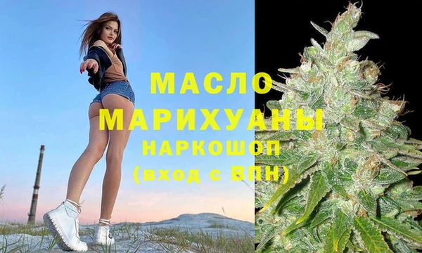 хмурый Арсеньев