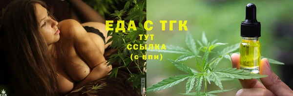 хмурый Арсеньев