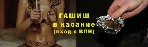 хмурый Арсеньев