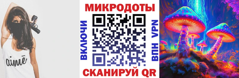 Купить где  Ялуторовск  Галлюциногенные грибы Psilocybe 